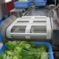 https://www.bossgoo.com/product-detail/industrial-fruits-vegetable-washing-and-drying-61981997.html